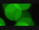 Green Bokeh Lights　間嶋真