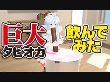 タピオカ100リットル飲んでみた【完食】