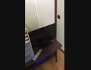 ホラー映画みたいなテレビ