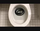 蛇をトイレに流してみた