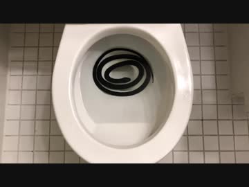 トイレにヘビ 蛇をトイレに流してみた - ニコニコ動画