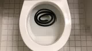 トイレにヘビ トイレの穴に蛇が入らないようにする7つの方法、実践しよう！