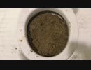 砂をトイレに流してみた