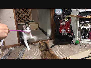 へたくそな僕と、上手い師匠。