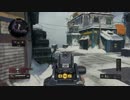 【COD：BO4】のんびりFFA