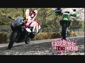 【花見ツーリング（イルローザの森）】きりたんといっしょ！Ninja250 9km