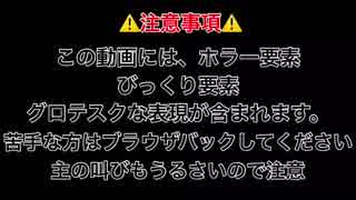 ビビリなmiamoが行くホームスイートホームPart2