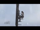 【女】トゥームレイダー1　PS4【part6】