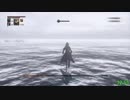 新【Bloodborne】 Any%RTA_バグあり獣肉断ちルート_54分25秒_2/2