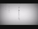 【歌ってみた】命に嫌われている。【miamo】