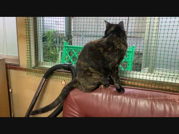 窓の外には夢がある