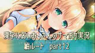 SummerPocketsを実況する30代 紬ルート part12