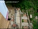 うちの新しい猫たちが外で遊んでる様子を撮った。