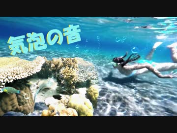 【音フェチ】ASMRイヤホン推奨♪立体音響！海中の気泡の音をイメージして見ました♪ダイビング映像