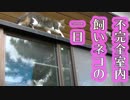 不完全室内飼いネコの一日