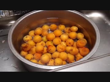 [梅仕事]完熟梅ジャムをつくる[2019]