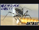 トゲオオハリアリVSヨコヅナサシガメ～攻守を極めたハイブリッドモンスター～