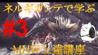 【MHW】DAN(ryのネルギガンテで学ぶMHW上達講座【第3回 モンスター情報編】