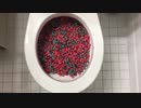 ケロッグのユニコーンシリアルをトイレに流してみた１