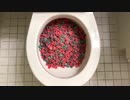 ケロッグのユニコーンシリアルをトイレに流してみた２