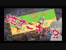 2窓プニキをしながら雑談していたらロビンをクリアしてしまった神コップ