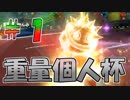 【マリオカート８DX】重量個人杯　１回戦12組【wani視点】