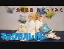 【APヘタリア踊ってみた】きょうもハレバレ【北米兄弟生誕祭2019】