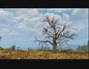#5【GARY】THE WITCHER3（PC版,ニコ生）
