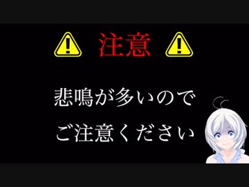 【壺おじ実況】人間の可聴域を超えた電脳少女【まとめ】