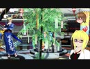 【PSO2】殴りテクターで適当になんかやっていく【その163】