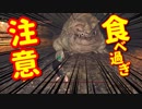 【初見】厨二病の私が嫁を作ってダクソ２をやる【実況】part21-1
