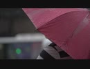 Rain Soaked Umbrella 　下川貴裕