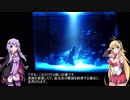 結月ゆかりとアクアリウム夜話　第14夜