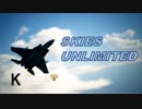 Ace Combat 7 Multiplayer182  バトルロイヤル  F-15J + HCAA