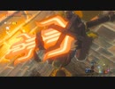 依頼を受けて、ポンドんちで爆弾を頭に乗せてみた
