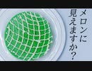 【料理】そうです！メロンの豆乳プリンです！