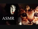 [可愛い猫ASMR]愛でる・撫でる・タッピング[睡眠用の音フェチ]