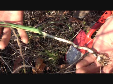 平成最後の狩猟生活（その８３）