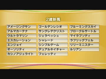 今週の２歳新馬追い切り