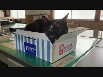 DHCがお気に入り