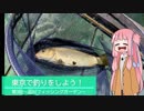 東京で釣りをしよう！～第三回　品川フィッシングガーデン～