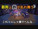 【実況】ドラゴンクエストビルダーズ #32 ～筋肉たちの逆襲。夢の4人パーティーへ〜