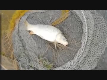 6.29 【風を感じろ】