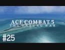 【PS4】エースコンバット5 #25