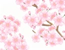 【手描き紙芝居】小泉八雲「十六桜」より【筋之絵巻】