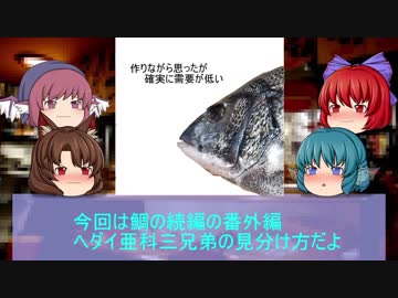 【第11回東方ニコ童祭】【ゆっくり解説】ゆっくりわかさぎ姫が教える魚　番外偏　～ヘダイ亜科三兄弟の見分け方～