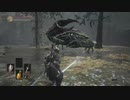 自称経験者と初見のぶらり不死の旅　part16