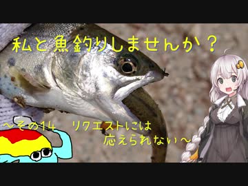 私と魚釣りしませんか？～その１４　リクエストには応えられない～