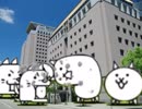 【今日のにゃんこ】鹿児島県庁が謎の勢力に犬とへびをけしかけられていたけど新人が守った【part 3】