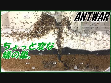 砂鉄入りの土をアリに掘らせたらちょっと変な蟻の巣が生成された。